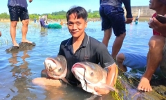 Cảnh tượng 