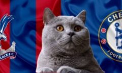 Alisson bị đồng đội 