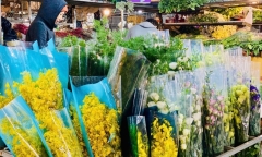 Dòng người thi nhau đổ về chợ hoa lớn nhất Hà Nội, mang “Tết” về nhà