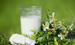 Uống bột sắn dây đúng cách