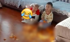Con trai 4 tuổi ở nhà bóc cam cho em nhỏ, bà mẹ trở về nhìn thấy cảnh tượng chỉ muốn