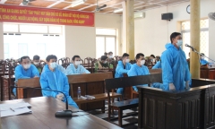 Vụ sòng gà lớn nhất tại An Giang: Xét xử 