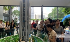 Giá chung cư vẫn