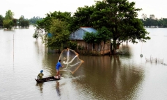 Cù lao Vàm Nao mùa nước nổi