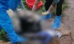 Bạc Liêu: Phát hiện thi thể nam giới đang phân hủy ở khu vực rừng phòng hộ