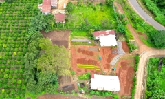 Gia Lai: Thu hồi hơn 16.000 m2 đất rừng lấn chiếm của cựu trưởng ban quản lý rừng phòng hộ