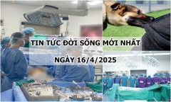 Tin tức đời sống 16/4: Bị zona thần kinh, đi khám bất ngờ phát hiện khối u lớn ở tim