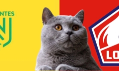 Dự đoán kết quả trận Lille vs Nantes, Ligue 1 1h ngày 5/1: Mèo tiên tri theo phe kẻ mạnh