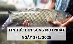 Tin tức đời sống 2/1: Hai người đàn ông nhập viện sau khi uống mật cá trắm