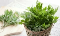 Loại rau được ví như 