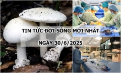 Tin tức đời sống 30/6: Cứu đôi chân cho bé 7 tuổi bị u xương ở vị trí khó tiếp cận