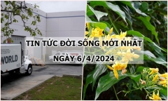 Tin tức đời sống ngày 6/4/2024: “Siêu trộm” đột nhập kho tiền, “ẵm” gần 750 tỷ đồng