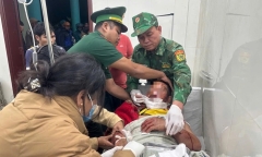 Người đàn ông ở Đà Nẵng bị thú dữ tấn công khi đi thăm rẫy