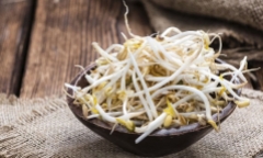 Cách rửa sạch giá đỗ đề phòng hóa chất?