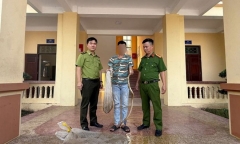 Tin pháp luật nổi bật 24h qua: Phát hiện 7 rắn hổ mang, 3 trăn đất trong nhà dân ở Ninh Bình