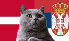 Nhận định soi kèo trận Đan Mạch vs Serbia, Nations League 23h ngày 8/9: Mèo tiên tri tin trực giác