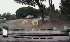 Vụ tai nạn giao thông, 7 người tử vong ở Nam Định: Bé gái sống sót được ra viện