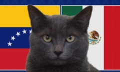 Nhận định trận Venezuela vs Mexico Copa America 2024 8h ngày 27/6: Mèo Cass như “chuyên gia”