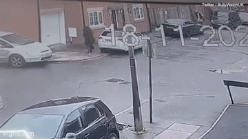 Bé trai bất ngờ bị chó Bully cỡ lớn tấn công, đoạn video hiện trường gây ám ảnh