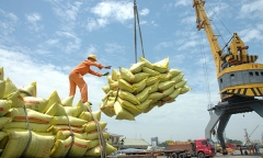 Indonesia muốn nhập khẩu 2 triệu tấn gạo, Bộ Công Thương khuyến cáo gì?