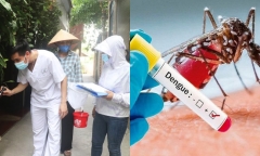 Hơn 6.500 ca mắc sốt xuất huyết trong một tuần, nên làm gì để phòng tránh hiệu quả?