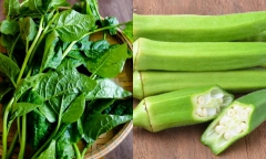 Top những loại  rau quả ngừa táo bón cực kỳ hiệu quả