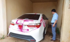 Gia Lai: Xe ô tô của giám đốc bị xịt sơn giữa ban ngày tại cơ quan