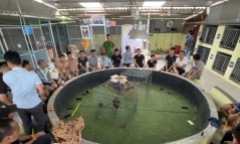 Bắc Giang: Triệt phá một tụ điểm đánh bạc dưới hình thức đá gà, bắt giữ nhiều đối tượng có liên quan