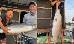 Cần thủ câu được cá vược