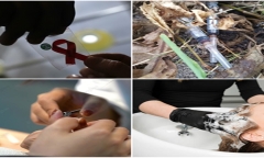 Thực hư vụ nam thanh niên nhiễm HIV sau 3 tháng đi cắt tóc, gội đầu và góc nhìn của chuyên gia