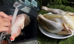 Có nên rửa thịt gà trực tiếp dưới vòi nước chảy? Lời khuyên từ chuyên gia