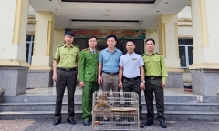 Tin thời sự mới nóng nhất 7/3: Thanh niên bỏ tiền mua khỉ vàng quý hiếm bàn giao cho vườn Quốc gia