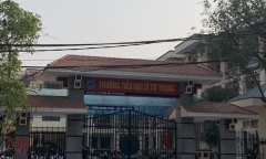 Kỷ luật nữ giáo viên ngoại ngữ tham gia đường dây làm bằng giả