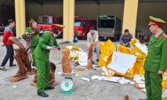 Dùng xe thư báo để vận chuyển gỗ lậu ở Hà Giang
