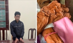 Tạm giữ người đàn ông trung niên hiếp dâm cụ bà 84 tuổi ở Bắc Giang