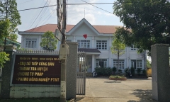 Xử phạt hành chính Trưởng phòng Tư pháp huyện có hành vi trộm cây hoa giấy