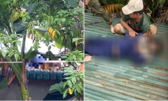 Nhân viên tử vong khi sửa chữa đường dây mạng, nghi bị điện giật