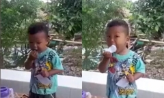 Bé trai 3 tuổi