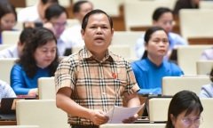  Đại biểu Quốc hội đề nghị bổ sung quy định xử lý hình sự với hành vi bỏ cọc đấu giá