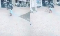 Clip: Bé trai 2 tuổi rơi từ tầng 3 xuống đất thoát chết vì lý do bất ngờ