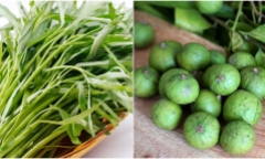 Luộc rau muống cho quả sấu trước hay sau mới đúng