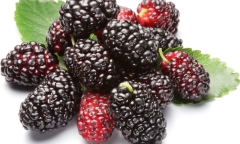 Tuyệt chiêu làm sinh tố mãng cầu thơm ngon