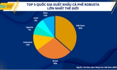 Nguyên nhân nào khiến sản lượng tiêu thụ cà phê ở Trung Quốc tăng đột biến?