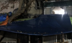 Hé lộ nguyên nhân vụ cháy khiến 5 người tử vong ở Hà Nội