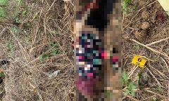 Thi thể người phụ nữ trong rừng sâu hé lộ tội ác rợn người của tên “sát nhân”