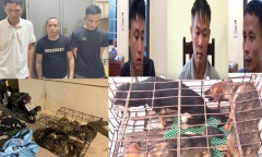 Chưa đầy 10 ngày, nhóm “cẩu tặc” bắt trộm gần 100 con chó ở Thanh Hóa 
