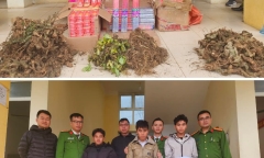 Đường dây buôn lậu sâm Trung Quốc sau đó “phù phép” thành sâm Lai Châu do thanh niên 27 tuổi cầm đầu 