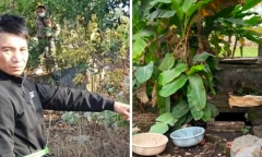 Vụ hài cốt người phụ nữ giao gas mất tích bí ẩn 13 năm: Vì sao nghi phạm chọn bể nước làm nơi phi tang?