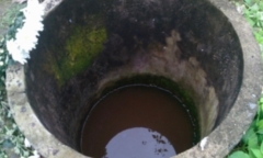 Kỳ án 