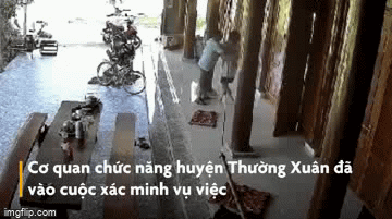 Bị tố 